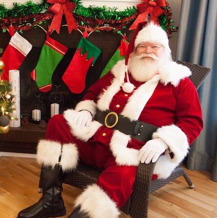 Santa Gee with Xmas tree